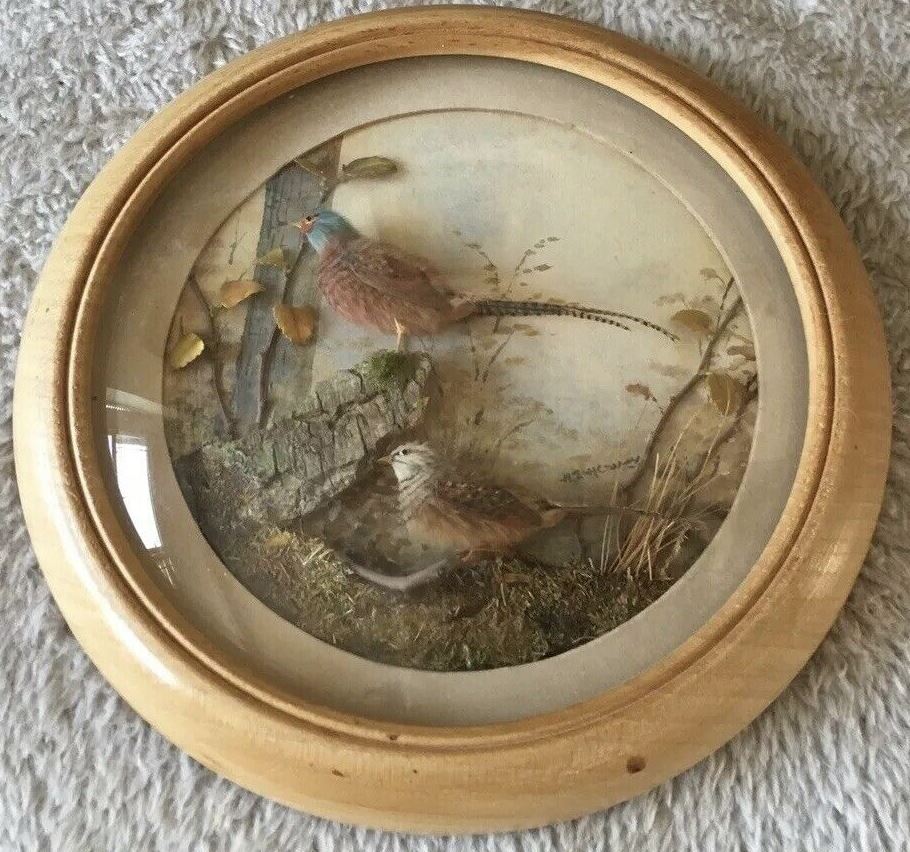 Common Pheasants (5-inch)